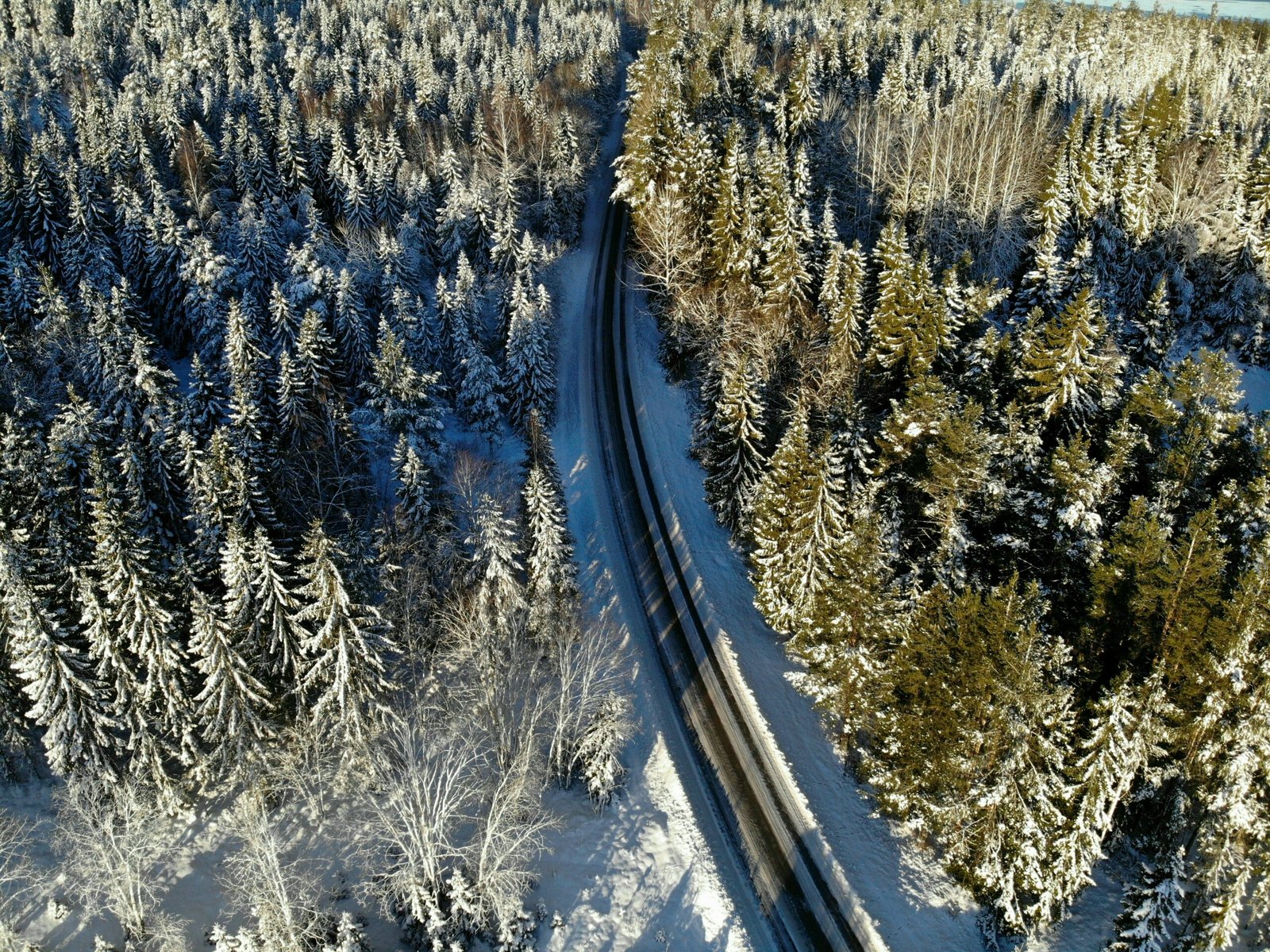 Nordic business consultancy